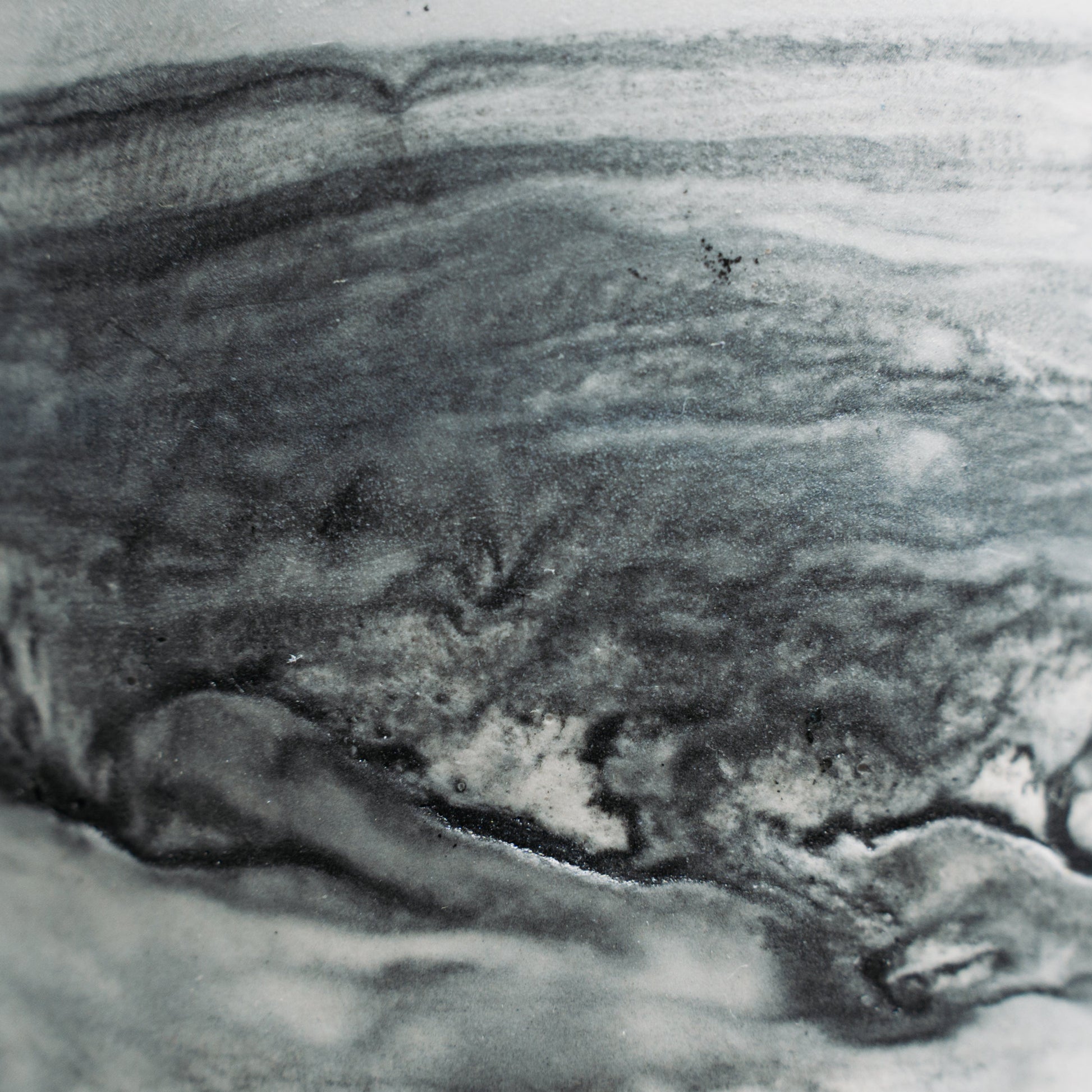 Close-up of a textured surface with a focus on patterns and textures.